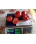 Seminte Tomate MANUSA F1 Rijk Zwaan - 100 seminte