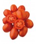 Seminte Tomate JAG 8810 F1 Seminis - 10.000 seminte