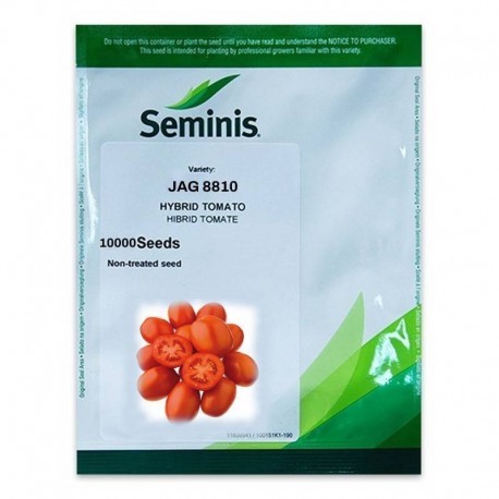 Seminte Tomate JAG 8810 F1 Seminis - 10.000 seminte