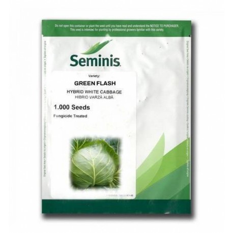 Seminte Varza GREEN FLASH F1 Seminis - 1.000 seminte