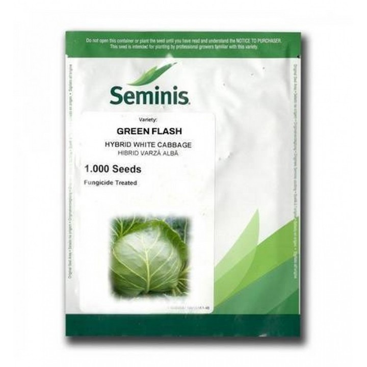 Seminte Varza GREEN FLASH F1 Seminis - 1.000 seminte Seminte Varza GREEN FLASH F1 Seminis - 1.000 seminte