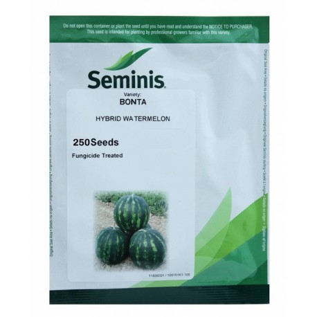 Seminte Pepene verde BONTA F1 Seminis - 250 seminte
