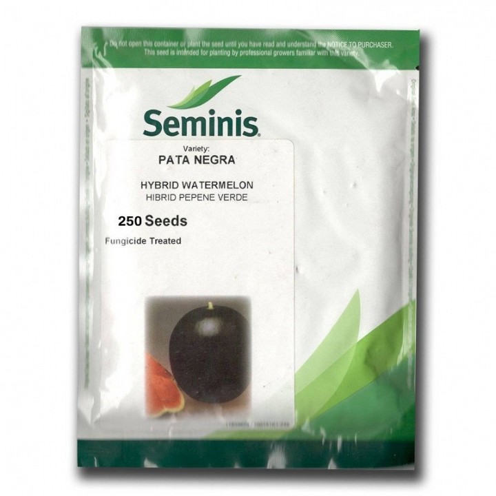 Seminte Pepene verde PATA NEGRA F1 Seminis - 250 seminte