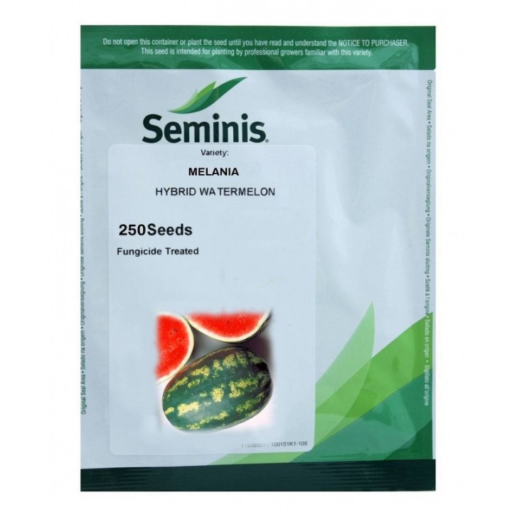 Seminte Pepene verde MELANIA F1 Seminis - 250 seminte Seminte Pepene verde MELANIA F1 Seminis - 250 seminte