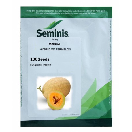 Seminte Pepene galben MZIRAA F1 Seminis - 100 seminte