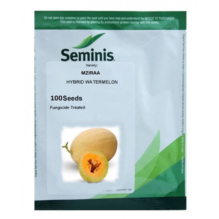 Seminte Pepene galben MZIRAA F1 Seminis - 100 seminte