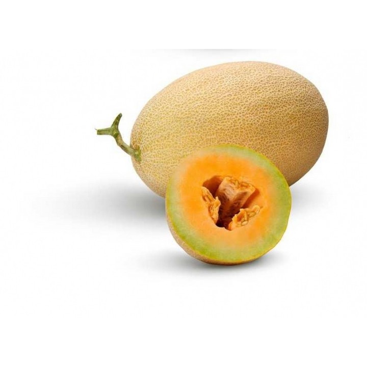 Seminte Pepene galben MZIRAA F1 Seminis - 100 seminte