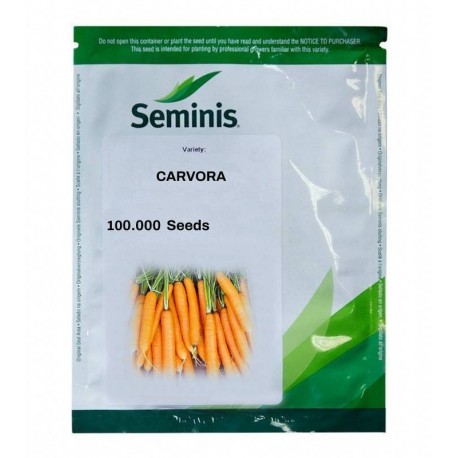 Seminte Morcov CARVORA F1 Seminis - 100.000 seminte