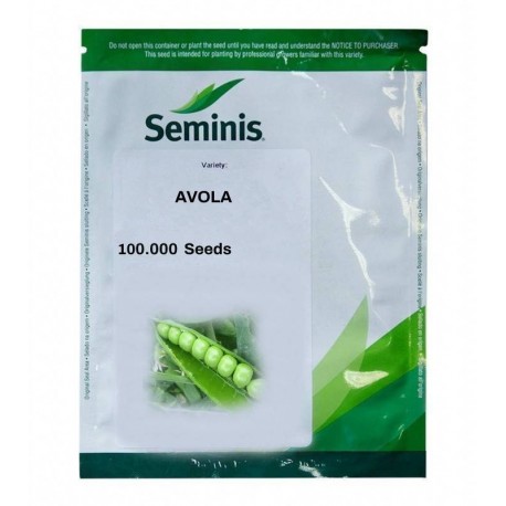 Seminte Mazare AVOLA F1 Seminis - 100.000 seminte