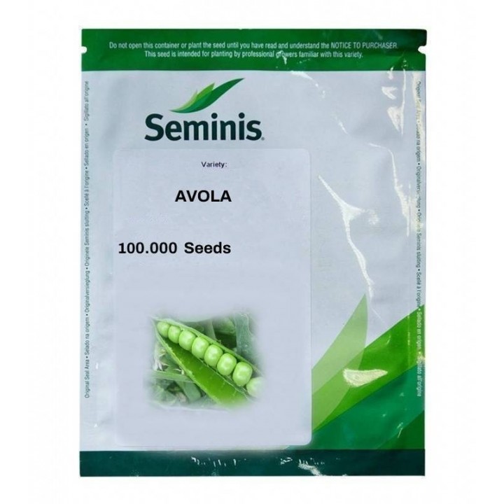 Seminte Mazare AVOLA F1 Seminis - 100.000 seminte Seminte Mazare AVOLA F1 Seminis - 100.000 seminte