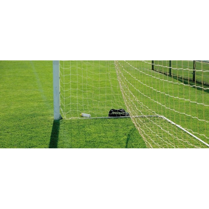 Seminte gazon RAPIDE Barenbrug - 15 kg.