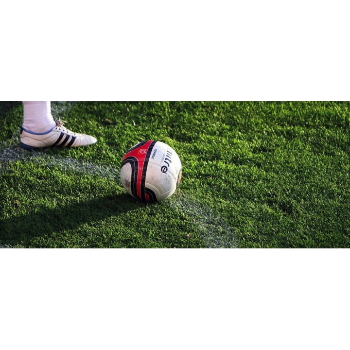 Seminte gazon SPEEDY GREEN Barenbrug - 15 kg.