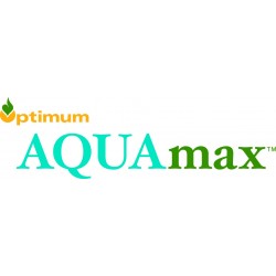 Seminte porumb Pioneer P9911 Aquamax - 80.000 boabe