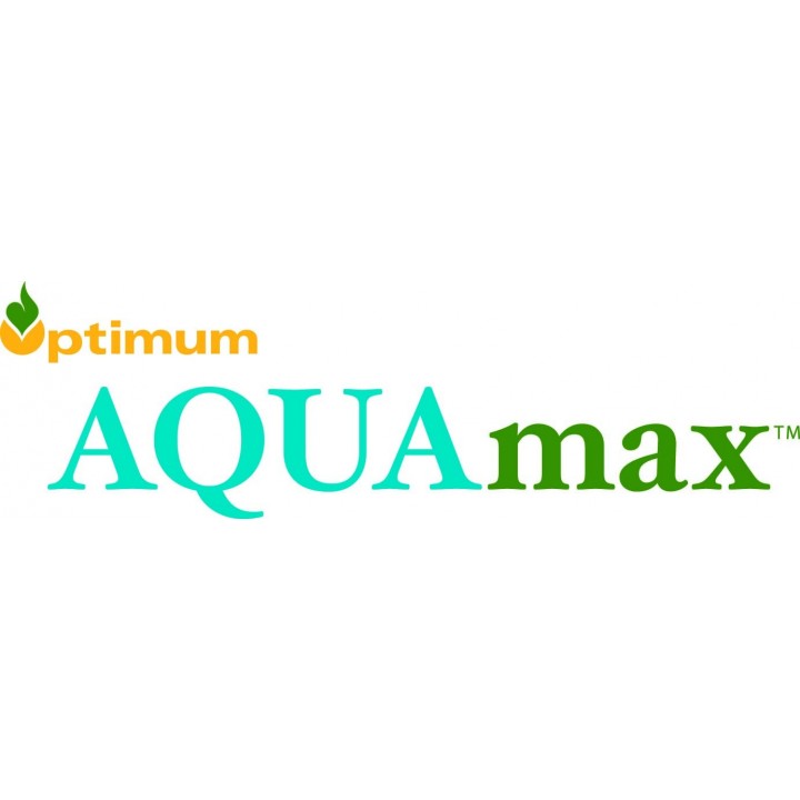Seminte porumb Pioneer P9610 Aquamax - 80.000 boabe