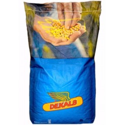 Samanta Porumb DEKALB DKC 4098, FAO 300-340, Timpuriu - Sac 80.000 boabe