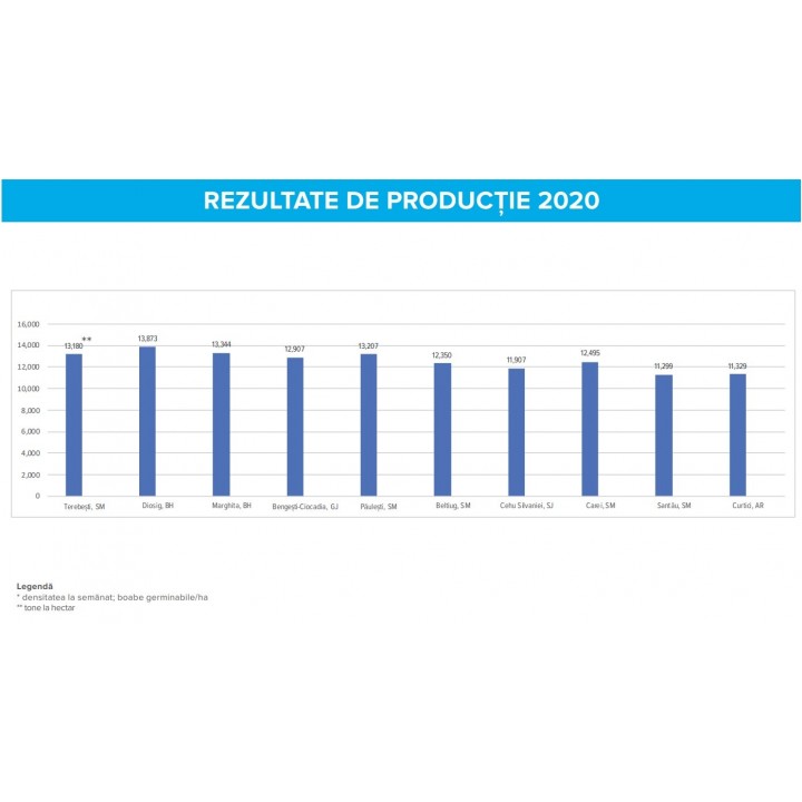 Seminte porumb Dekalb DKC 4098 - 80.000 boabe
