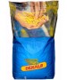 Seminte porumb Dekalb DKC 4611 - 80.000 boabe