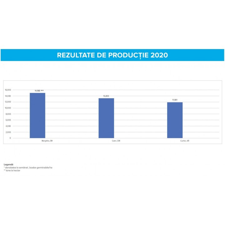 Seminte porumb Dekalb DKC 4897 - 80.000 boabe