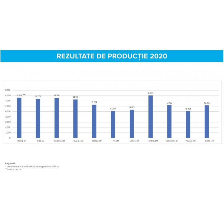 Seminte porumb Dekalb DKC 5182 - 80.000 boabe