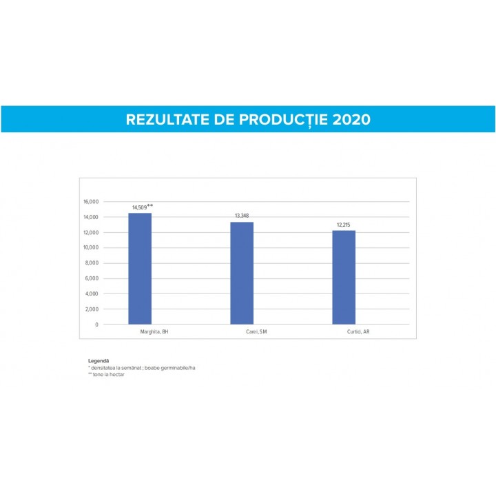 Seminte porumb Dekalb DKC 5404 - 80.000 boabe