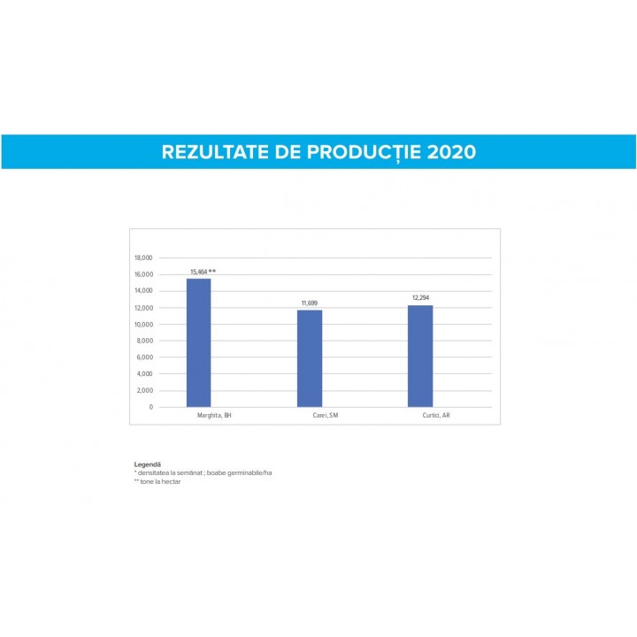 Seminte porumb Dekalb DKC 5709 - 80.000 boabe