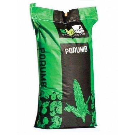 Samanta porumb ZP 560 - 25.000 boabe