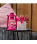Felinar cu gaz lampant Feuerhand 276 - Telemagenta