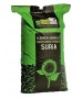 Seminte Floarea Soarelui SURIA CL Ciproma - 150.000 seminte