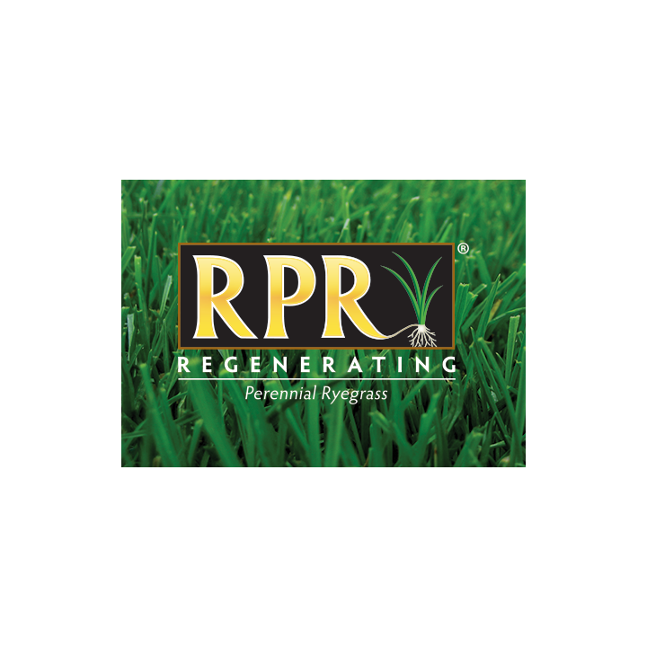 Seminte gazon RPR SPORT Barenbrug - 5 kg.