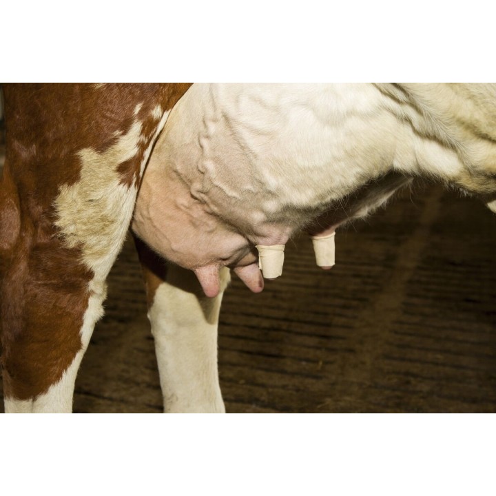 Bandaj pentru uger UdderoSoft Kerbl