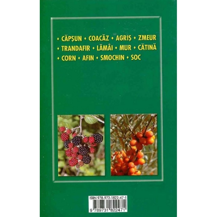 Cultura arbustilor fructiferi, Lenuta Chira Cultura arbustilor fructiferi, Lenuta Chira