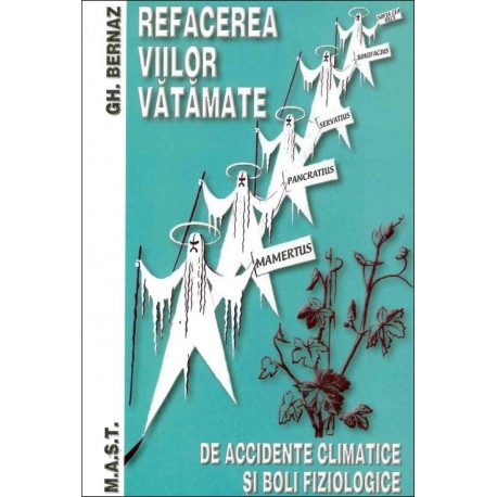 Refacerea viilor vatamate de accidente climatice si boli fiziologice, Gh. Bernaz