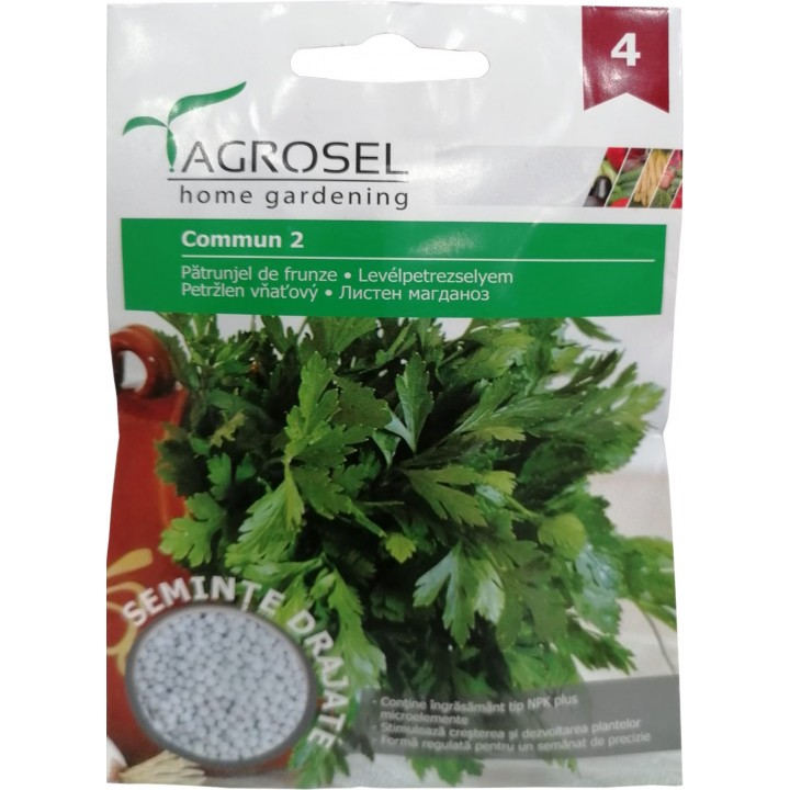 Seminte Patrunjel frunze PLAIN LEAVED 2/Commun 2 Agrosel - 5 g Seminte Patrunjel frunze PLAIN LEAVED 2/Commun 2 Agrosel - 5 g