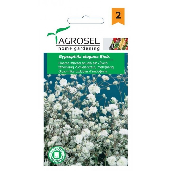 Seminte Floarea Miresei anuala Agrosel - 1 g Seminte Floarea Miresei anuala Agrosel - 1 g