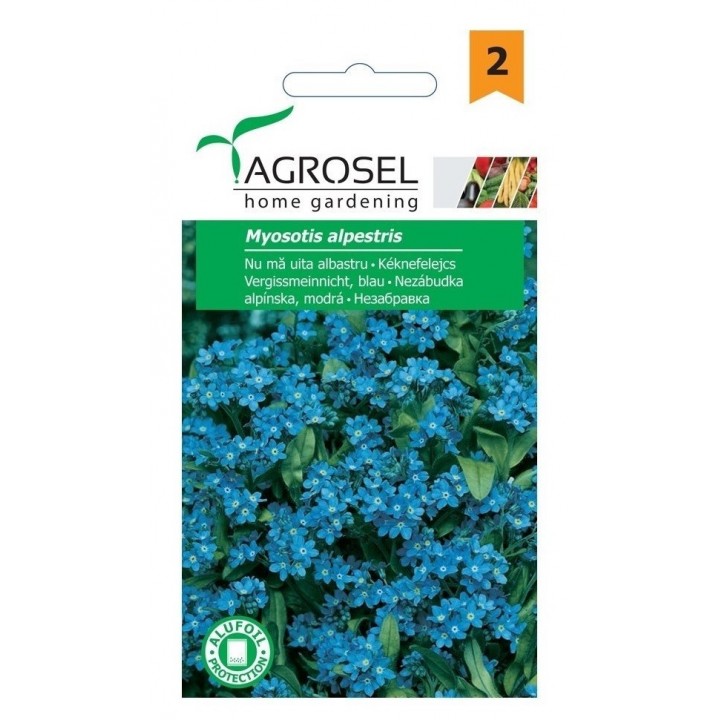Seminte flori Nu Ma Uita Agrosel - 1 g Seminte flori Nu Ma Uita Agrosel - 1 g