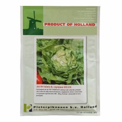 Seminte salata HILDE PPZ Olanda - 10 g