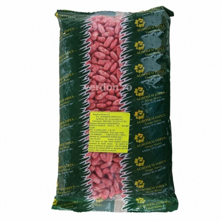 Seminte Fasole pitica CANNELLINO - 1 kg Seminte Fasole pitica CANNELLINO - 1 kg