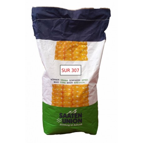 Samanta porumb SUR 307 Saaten Union - 50.000 boabe
