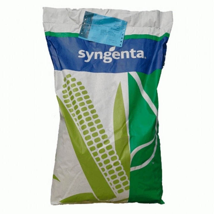 Samanta Porumb NK COBALT Syngenta, FAO 340, Semi-Timpuriu - Sac 50.000 boabe Samanta Porumb NK COBALT Syngenta, FAO 340, Semi-Timpuriu - Sac 50.000 boabe