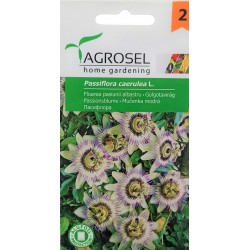 Seminte flori Floarea pasiunii Agrosel - 0,35 gr.