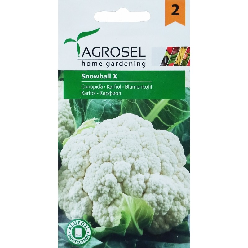 Seminte Conopida SNOWBALL X Agrosel - 2 g