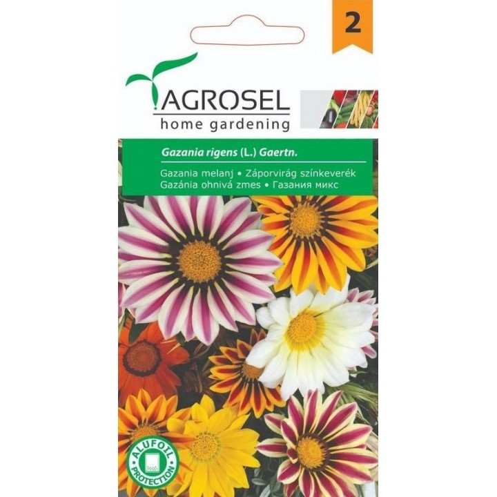 Seminte flori Gazania melanj Agrosel - 0,17 gr. Seminte flori Gazania melanj Agrosel - 0,17 gr.