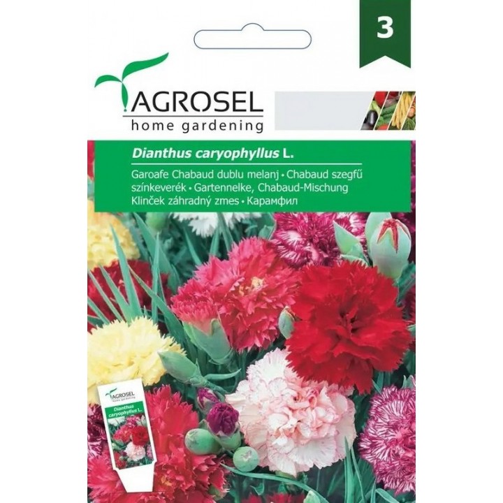 Seminte Garoafe Chabaud melanj Agrosel - 0,5 gr. Seminte Garoafe Chabaud melanj Agrosel - 0,5 gr.