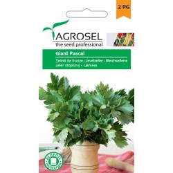 Seminte Telina frunze PASCAL GIANT Agrosel - 2 g