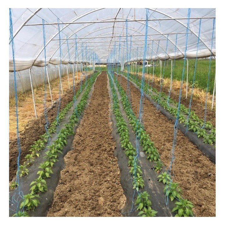 Folie MULCIRE Neagra Neperforata - pachet 0,8 x 50 m Folie MULCIRE Neagra Neperforata - pachet 0,8 x 50 m