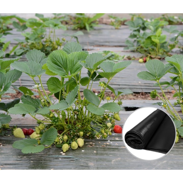 Folie MULCIRE Neagra Neperforata - pachet 0,8 x 50 m Folie MULCIRE Neagra Neperforata - pachet 0,8 x 50 m