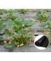Folie MULCIRE Neagra Neperforata - pachet 0,8 x 50 m