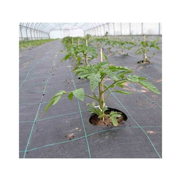 Folie antiburuieni AGROTEXTIL, 100 g/mp, Tratata UV, 6 Sezoane - Rola 0,5 x 100 m