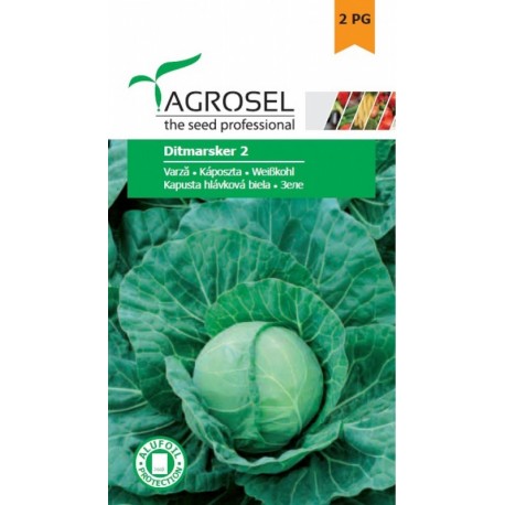 Seminte Varza DITMARSKER 2 Agrosel - 4 g