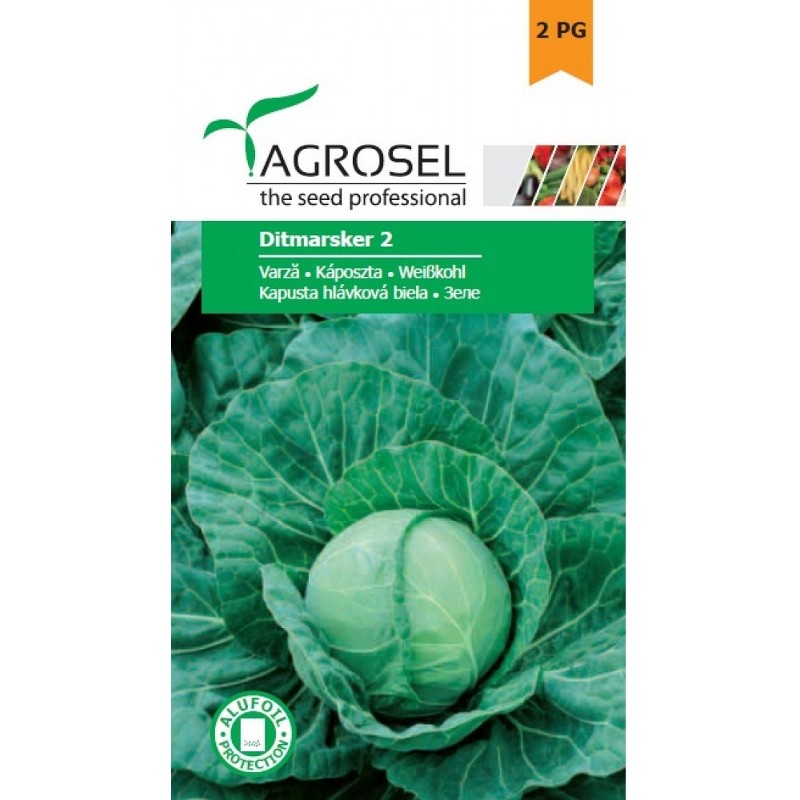 Seminte Varza DITMARSKER 2 Agrosel - 4 g